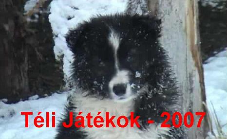 Téli kutyás játékok - 2007