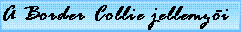 A Border Collie jellemz tulajdonsgai