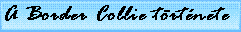 A Border Collie trtnete